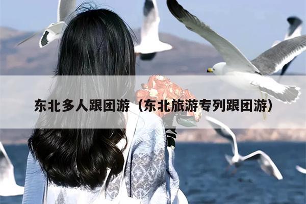 东北多人跟团游（东北旅游专列跟团游）