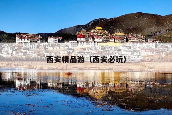 西安精品游（西安必玩）