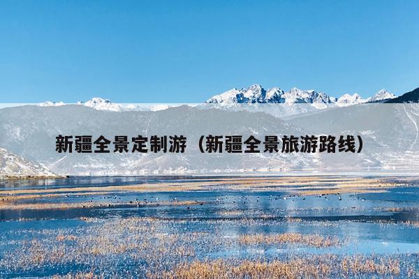 新疆全景定制游（新疆全景旅游路线）