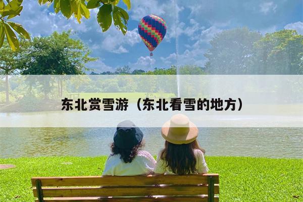 东北赏雪游（东北看雪的地方）