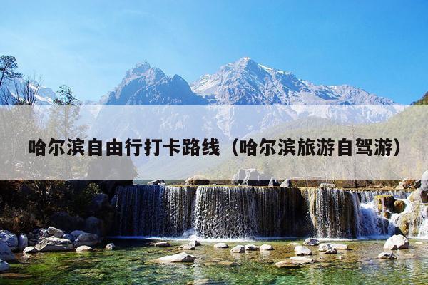 哈尔滨自由行打卡路线（哈尔滨旅游自驾游）