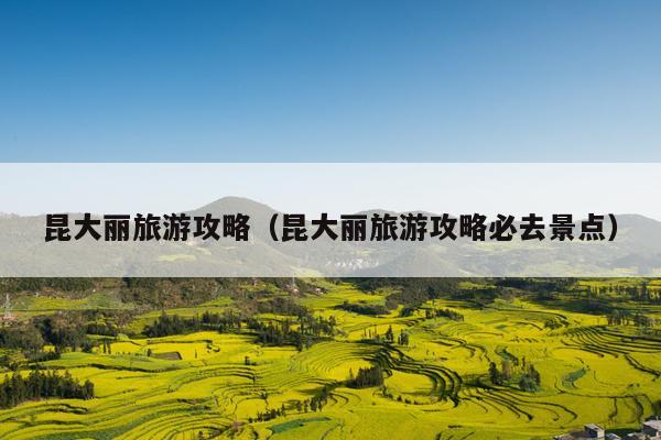 昆大丽旅游攻略（昆大丽旅游攻略必去景点）