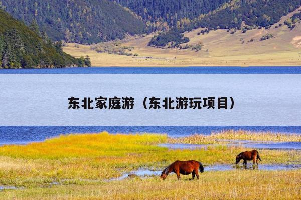 东北家庭游（东北游玩项目）