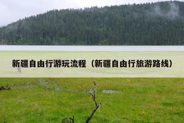 新疆自由行游玩流程（新疆自由行旅游路线）