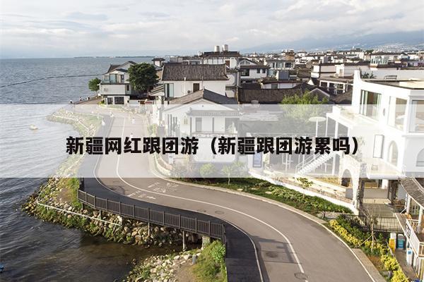 新疆网红跟团游（新疆跟团游累吗）