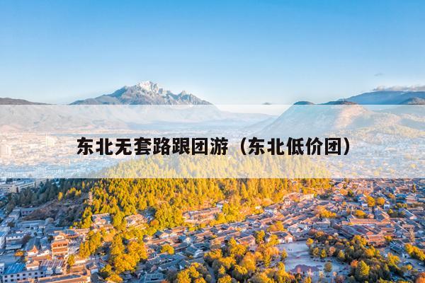 东北无套路跟团游（东北低价团）