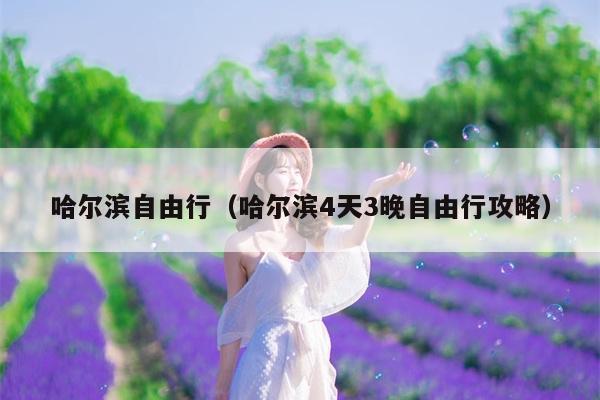 哈尔滨自由行（哈尔滨4天3晚自由行攻略）