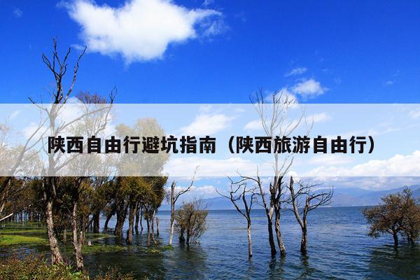 陕西自由行避坑指南（陕西旅游自由行）