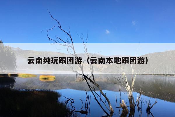 云南纯玩跟团游（云南本地跟团游）