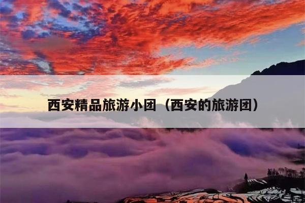 西安精品旅游小团（西安的旅游团）