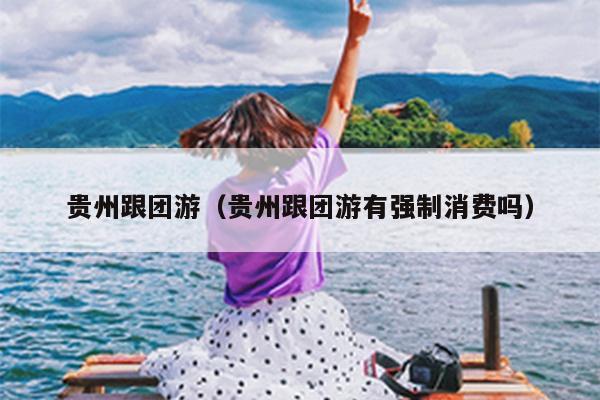 贵州跟团游（贵州跟团游有强制消费吗）