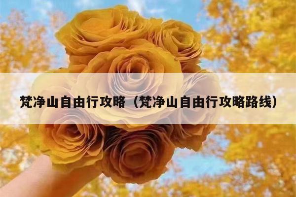 梵净山自由行攻略（梵净山自由行攻略路线）