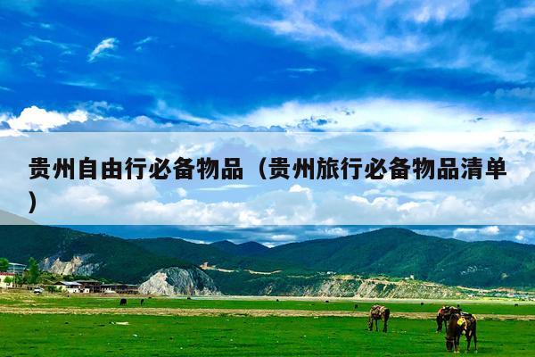 贵州自由行必备物品（贵州旅行必备物品清单）