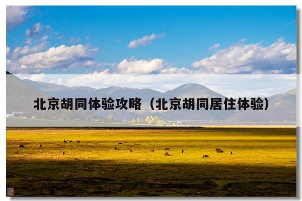 北京胡同体验攻略（北京胡同居住体验）