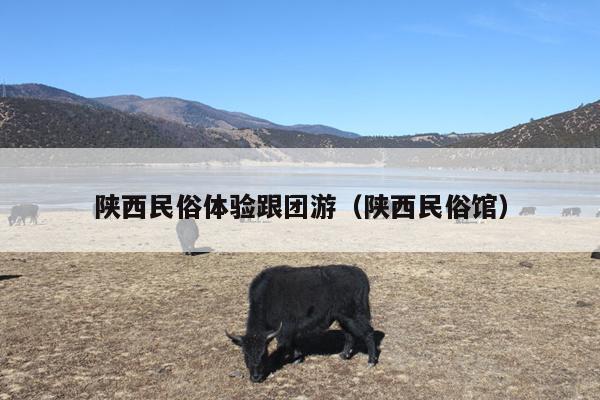 陕西民俗体验跟团游（陕西民俗馆）