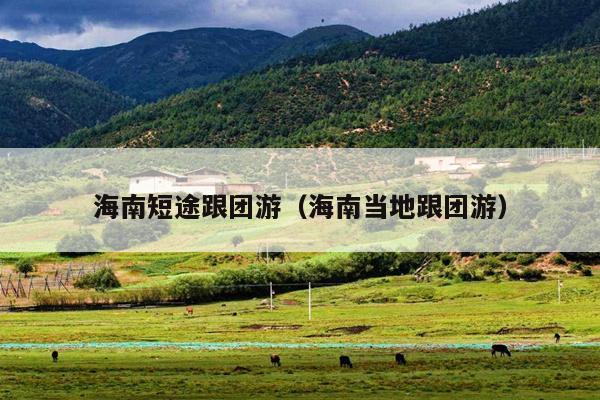 海南短途跟团游（海南当地跟团游）