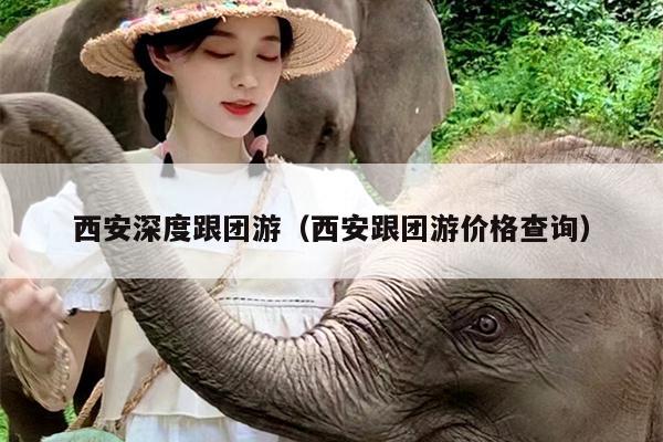 西安深度跟团游（西安跟团游价格查询）