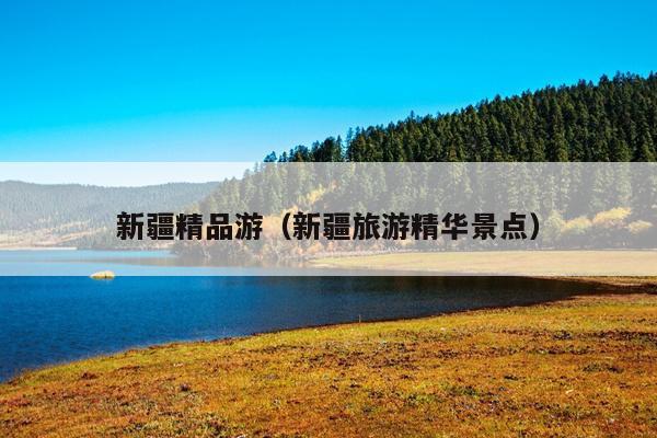 新疆精品游（新疆旅游精华景点）