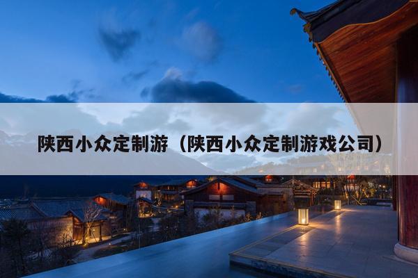 陕西小众定制游（陕西小众定制游戏公司）
