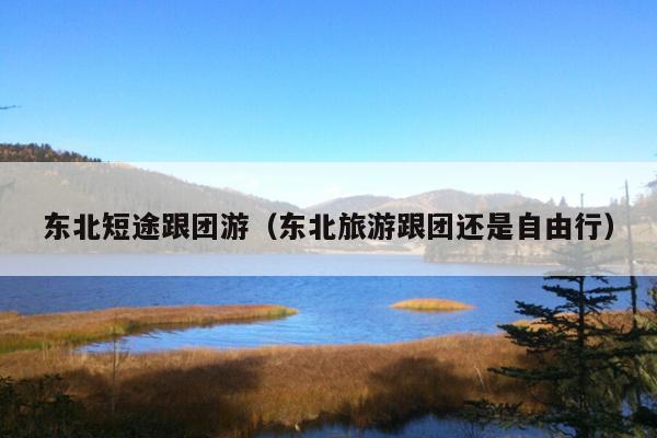 东北短途跟团游（东北旅游跟团还是自由行）