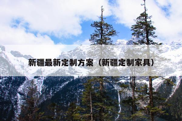 新疆最新定制方案（新疆定制家具）