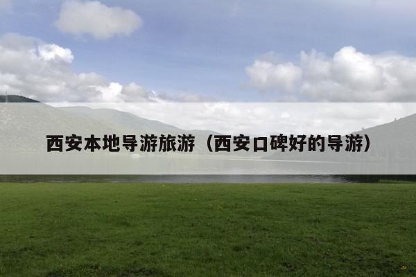 西安本地导游旅游（西安口碑好的导游）