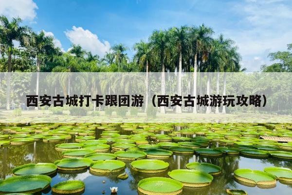 西安古城打卡跟团游（西安古城游玩攻略）