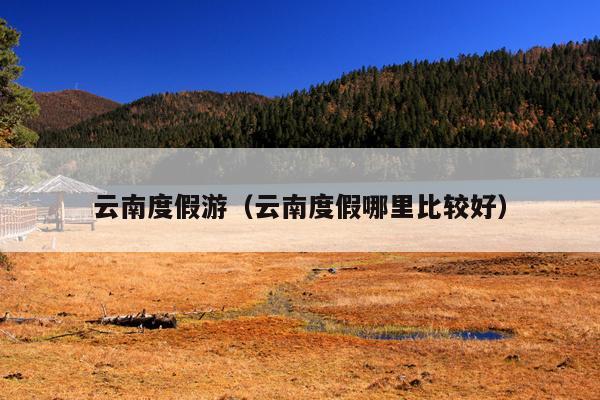 云南度假游（云南度假哪里比较好）