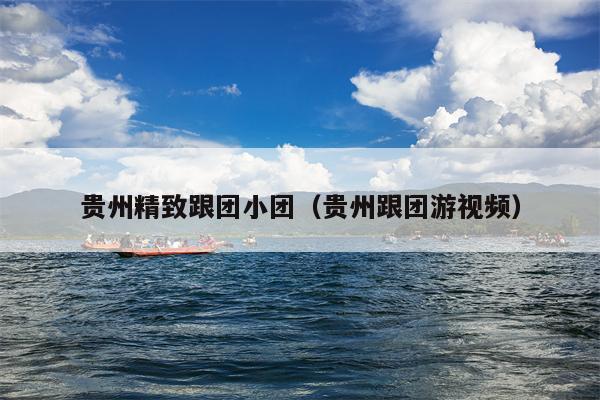 贵州精致跟团小团（贵州跟团游视频）
