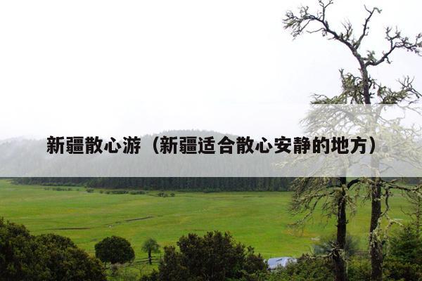 新疆散心游（新疆适合散心安静的地方）