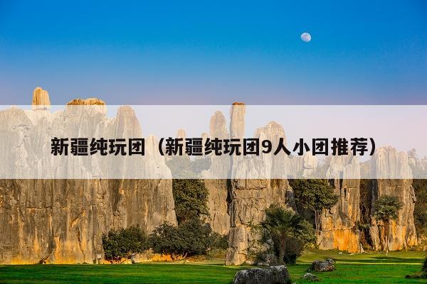 新疆纯玩团（新疆纯玩团9人小团推荐）