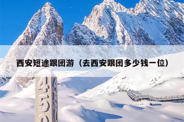 西安短途跟团游（去西安跟团多少钱一位）