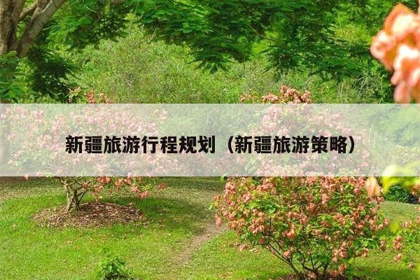 新疆旅游行程规划（新疆旅游策略）
