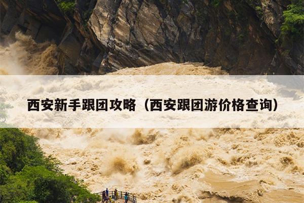 西安新手跟团攻略（西安跟团游价格查询）