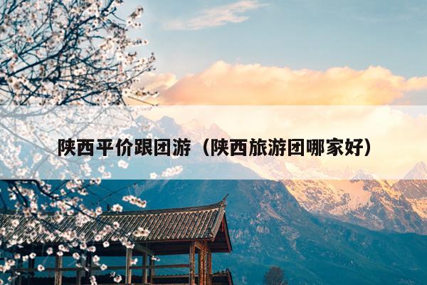 陕西平价跟团游（陕西旅游团哪家好）