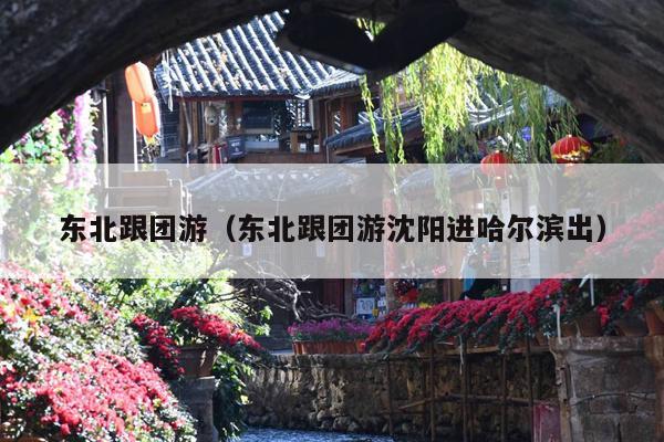东北跟团游（东北跟团游沈阳进哈尔滨出）