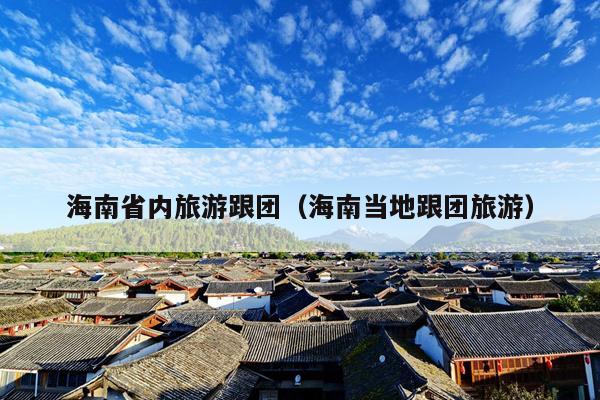 海南省内旅游跟团（海南当地跟团旅游）