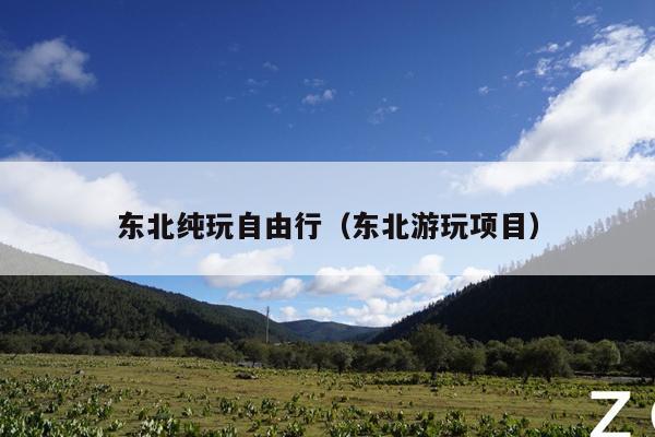 东北纯玩自由行（东北游玩项目）