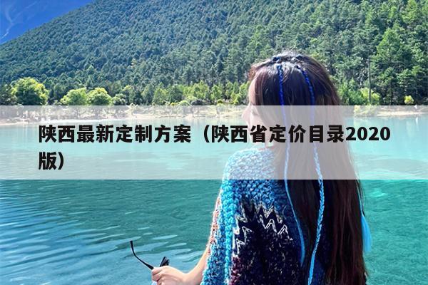 陕西最新定制方案（陕西省定价目录2020版）