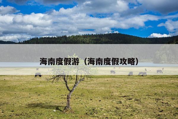 海南度假游（海南度假攻略）