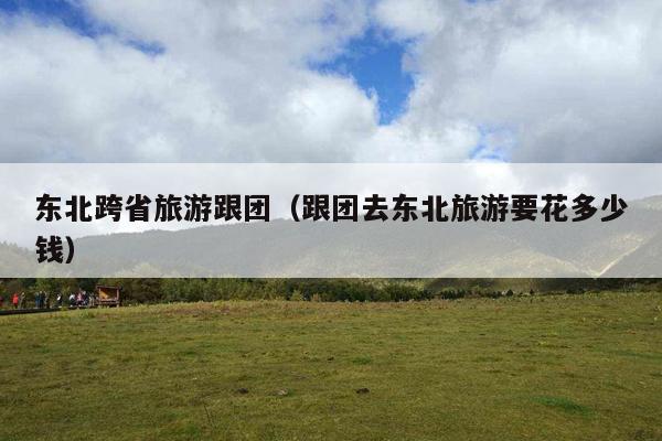 东北跨省旅游跟团（跟团去东北旅游要花多少钱）