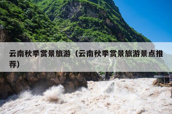 云南秋季赏景旅游（云南秋季赏景旅游景点推荐）