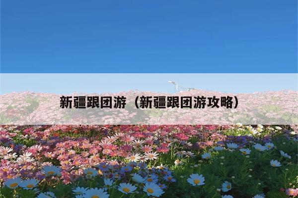 新疆跟团游（新疆跟团游攻略）