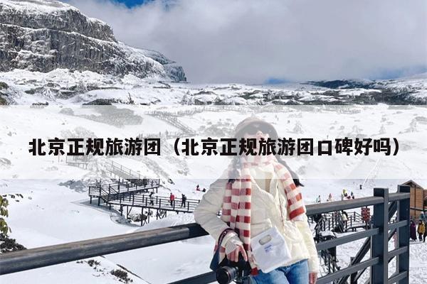 北京正规旅游团（北京正规旅游团口碑好吗）