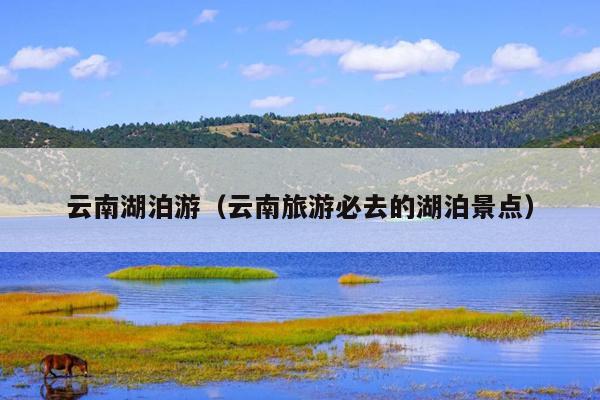 云南湖泊游（云南旅游必去的湖泊景点）
