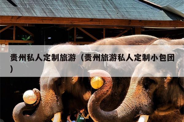 贵州私人定制旅游（贵州旅游私人定制小包团）