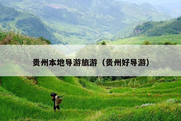 贵州本地导游旅游（贵州好导游）