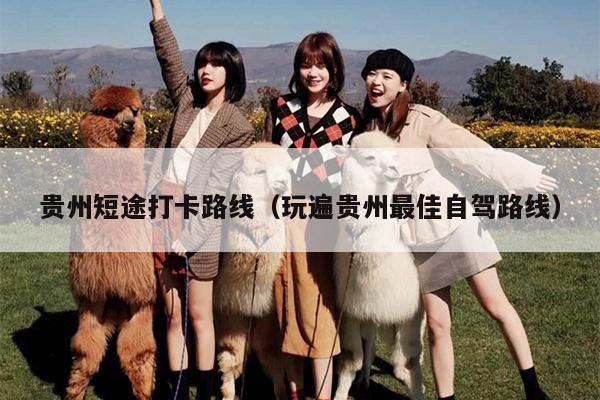 贵州短途打卡路线（玩遍贵州最佳自驾路线）