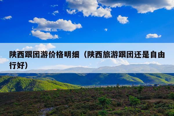 陕西跟团游价格明细（陕西旅游跟团还是自由行好）