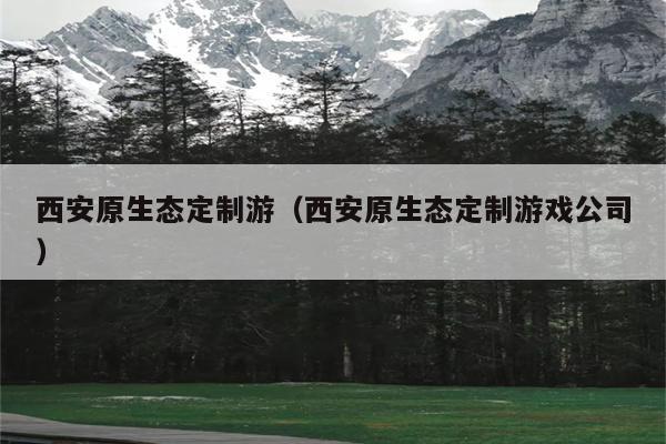 西安原生态定制游（西安原生态定制游戏公司）